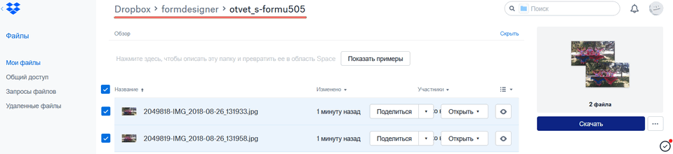 Модуль интеграции с Dropbox 11