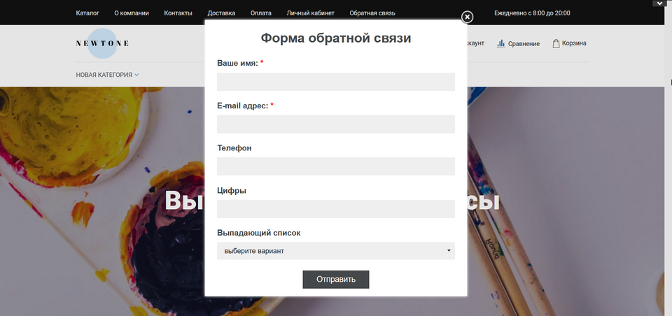 Добавление формы на сайт интернет-магазина InSales 26